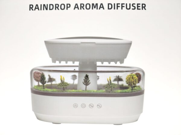 MICRO PAISAJE Y AROMATERAPIA - Imagen 2